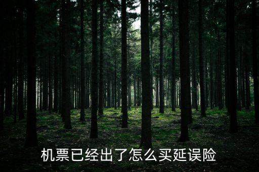 中行延誤險(xiǎn) 什么條件，飛機(jī)延誤險(xiǎn)賠償標(biāo)準(zhǔn)