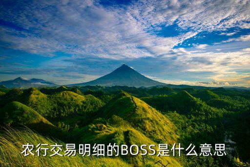 boss信用卡什么意思啊，農(nóng)行交易明細的BOSS是什么意思