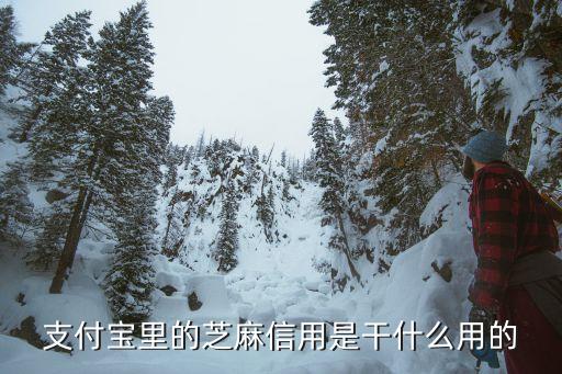 芝麻信用由什么決定的，支付寶里的芝麻信用是干什么用的
