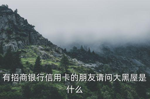 有招商銀行信用卡的朋友請(qǐng)問(wèn)大黑屋是什么