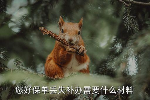 您好保單丟失補(bǔ)辦需要什么材料