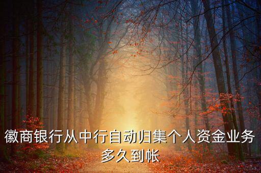 徽商銀行從中行自動歸集個人資金業(yè)務(wù)多久到帳