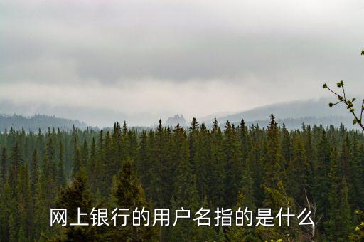 網(wǎng)上銀行的用戶名指的是什么