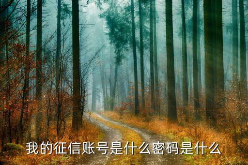 征信賬號(hào)密碼是什么意思，征信帳號(hào)是什么