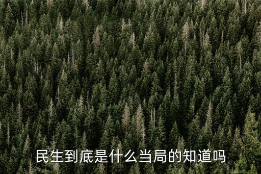 民生系什么意思，民生到底是什么當(dāng)局的知道嗎