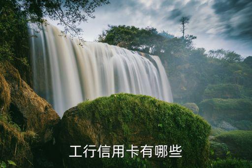 工行有些什么信用卡，工行信用卡有哪些卡通的卡類普卡
