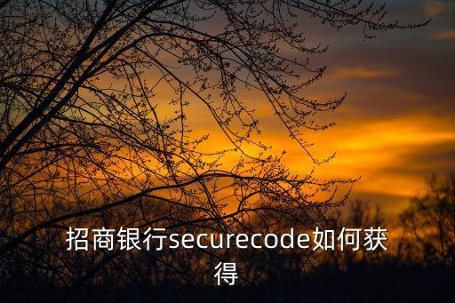 招商銀行securecode如何獲得