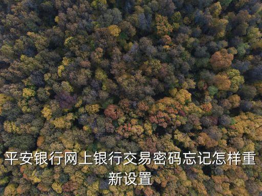 平安銀行怎么重置密碼是什么，中國(guó)平安銀行網(wǎng)上銀行密碼忘了該怎樣辦
