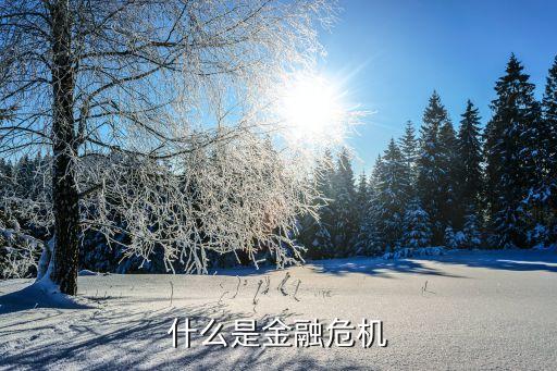金融危機(jī)是什么意思，什么是金融危機(jī)