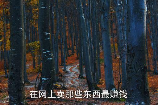 網(wǎng)上做生意 賣什么賺錢，網(wǎng)上開店賣什么最賺錢呢