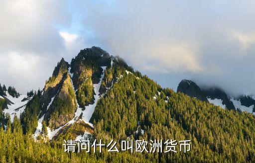 請(qǐng)問(wèn)什么叫歐洲貨幣