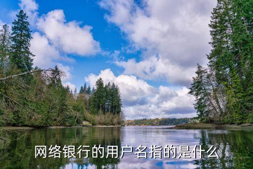 網(wǎng)銀客戶名是什么，網(wǎng)上銀行的用戶名是什么