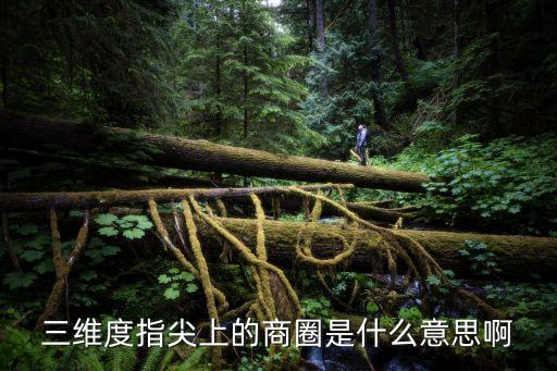 三維度指尖上的商圈是什么意思啊