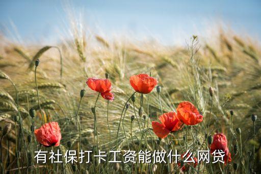 有社保打卡工資能做什么網(wǎng)貸