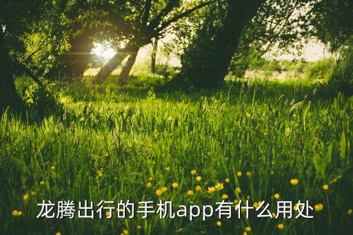龍騰出行的手機app有什么用處