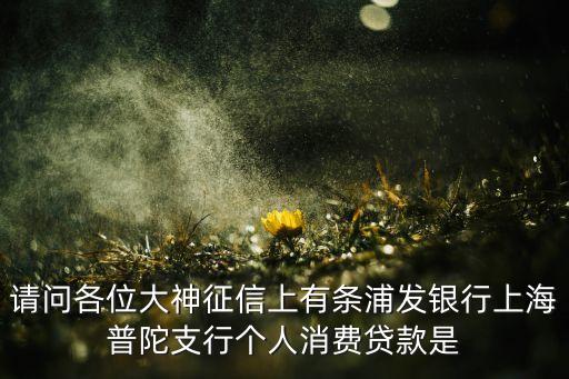 請問各位大神征信上有條浦發(fā)銀行上海普陀支行個人消費貸款是
