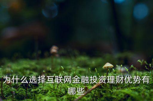 為什么選擇互聯(lián)網(wǎng)金融投資理財(cái)優(yōu)勢(shì)有哪些