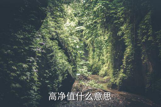 高凈值什么意思