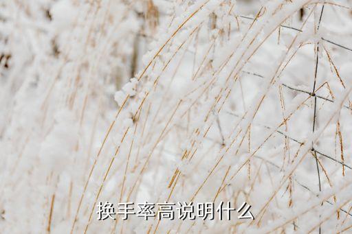 換手率高說明什么