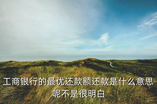 最優(yōu)還款額是什么意思，最優(yōu)還款額是什么意思
