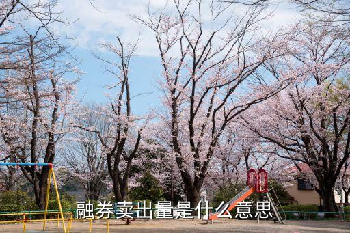 融券賣出量是什么意思