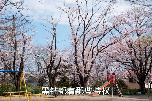 黑鉆都有那些特權(quán)