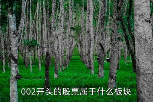 002開頭的股票屬于什么板塊