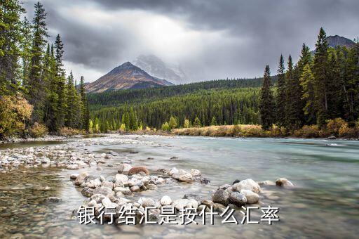 建行結(jié)鈔匯率什么意思，請(qǐng)教銀行買入價(jià)賣出價(jià)匯率等是什么意思