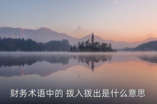 基金資金撥出是什么意思，財務術(shù)語中的 撥入撥出是什么意思