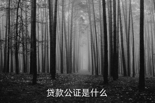 貸款公證是什么