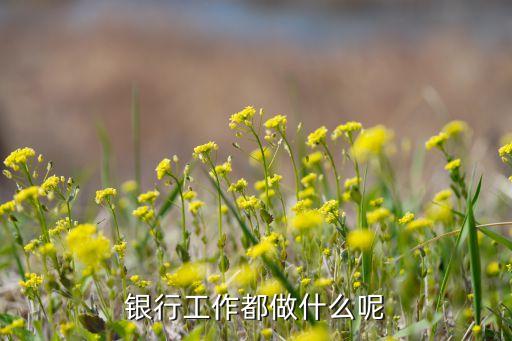 銀行上班主要做什么，銀行柜員的工作內(nèi)容有哪些