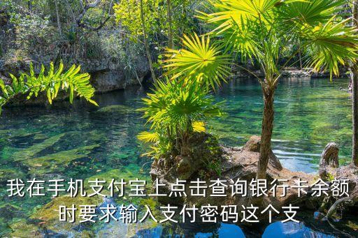 我在手機(jī)支付寶上點(diǎn)擊查詢銀行卡余額時(shí)要求輸入支付密碼這個(gè)支