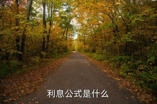 利息利率的計(jì)算公式是什么意思，利息公式是什么