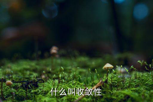 什么叫收斂性