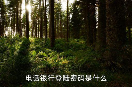 使用手機(jī)銀行登錄密碼是什么，工商銀行手機(jī)銀行登錄密碼指的是什么