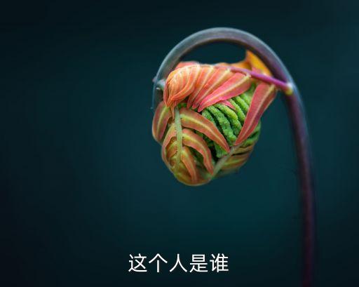 這個(gè)人是誰