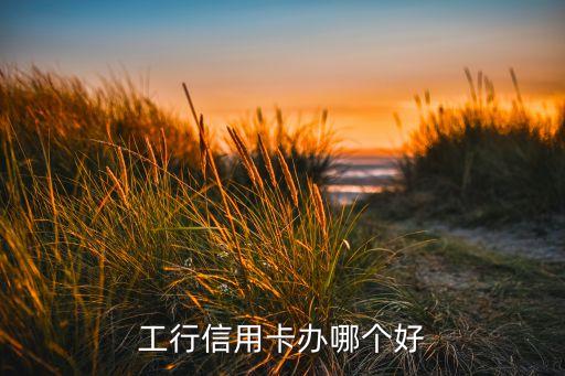 工行信用卡辦哪個(gè)好