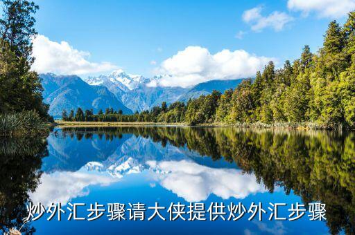 炒匯率的步驟是什么，炒外匯步驟請(qǐng)大俠提供炒外匯步驟