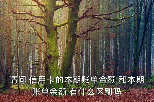 請(qǐng)問(wèn) 信用卡的本期賬單金額 和本期賬單余額 有什么區(qū)別嗎