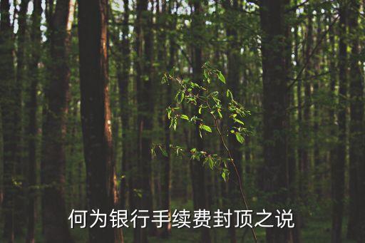 何為銀行手續(xù)費封頂之說