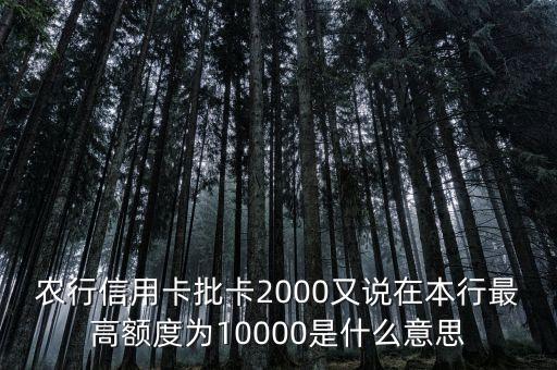 農(nóng)行信用卡批卡2000又說(shuō)在本行最高額度為10000是什么意思
