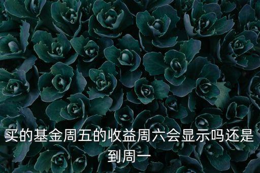 買的基金周五的收益周六會顯示嗎還是到周一