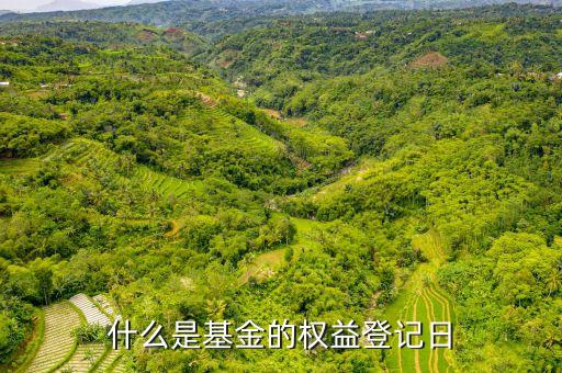 什么是基金的權(quán)益登記日