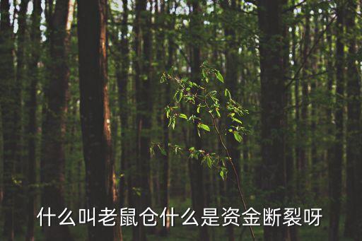 什么叫老鼠倉什么是資金斷裂呀