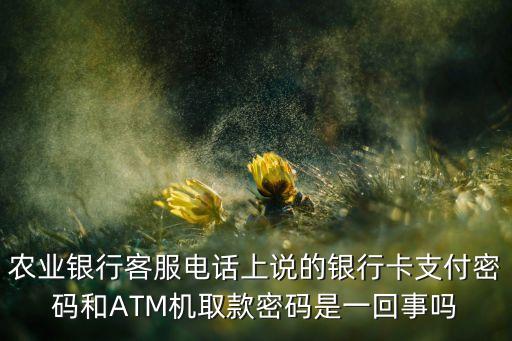 農(nóng)業(yè)銀行客服電話上說的銀行卡支付密碼和ATM機(jī)取款密碼是一回事嗎