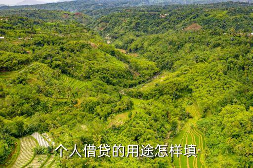 個(gè)人借貸的用途怎樣填