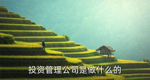 投資管理有限公司是做什么的，投資管理公司是做什么的