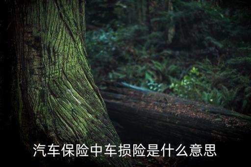 汽車保險(xiǎn)中車損險(xiǎn)是什么意思