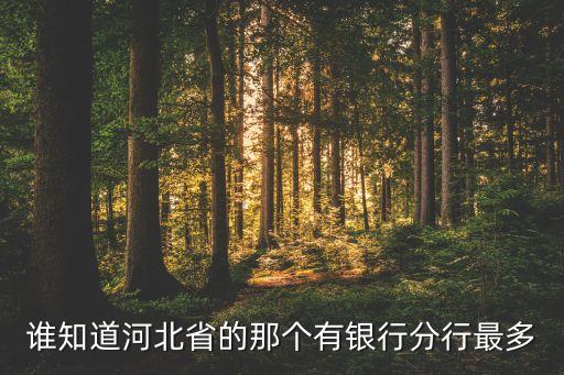 誰知道河北省的那個有銀行分行最多