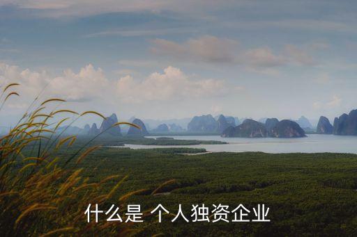 什么是 個(gè)人獨(dú)資企業(yè)
